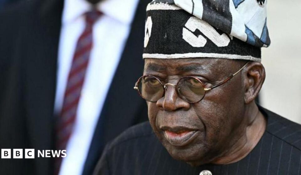 Adeniyi Adeyemi: Nigeria's President Bola Tinubu orders probe into alleged fake agency