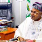 Adeniyi Adeyemi's PFIPC: How a fake presidential council ended up in Nigeria's national budget