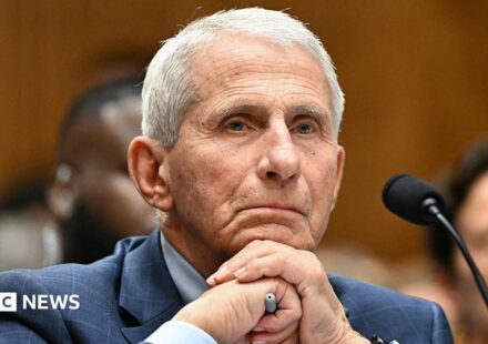 Anthony Fauci refuses to answer questions during US Senate hearing about Covid origins