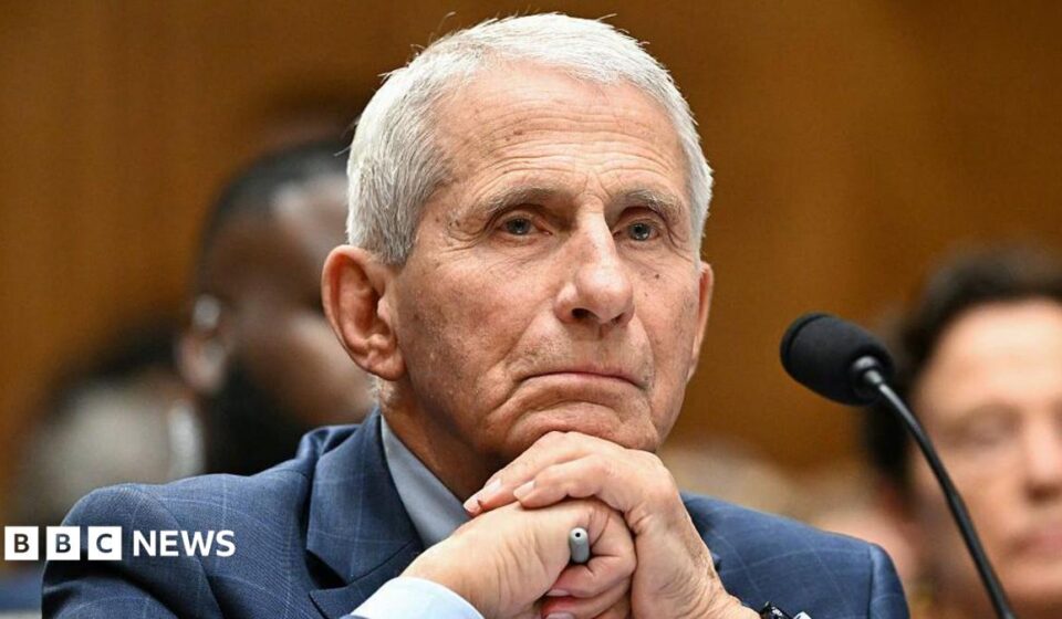 Anthony Fauci refuses to answer questions during US Senate hearing about Covid origins