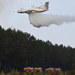 Bad news for Bordeaux: France's celebrated wine industry faces wake-up call over wildfires