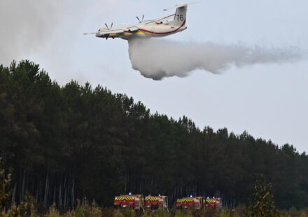 Bad news for Bordeaux: France's celebrated wine industry faces wake-up call over wildfires