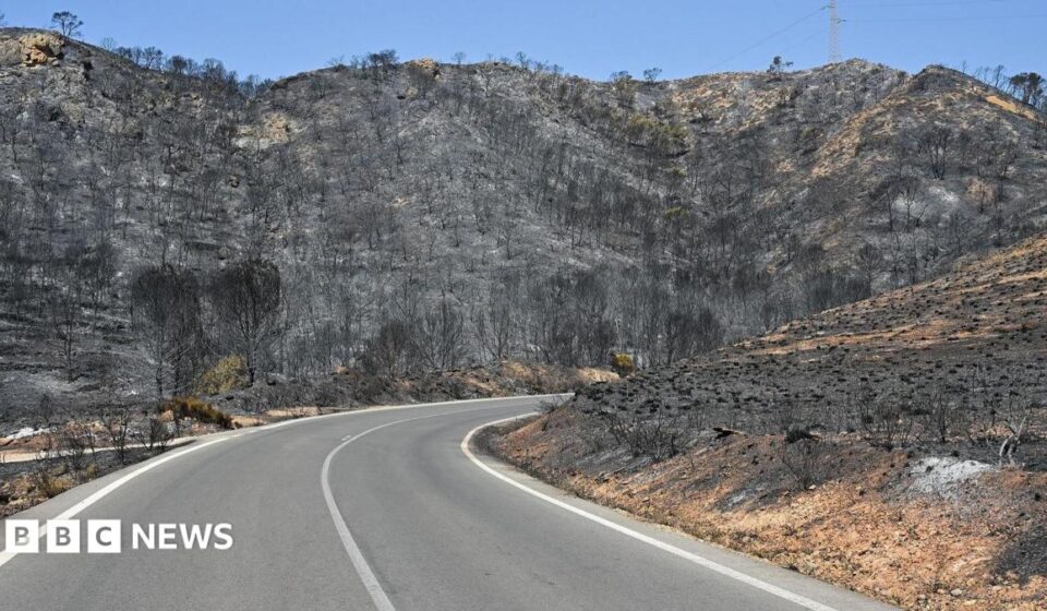 Badly burned British couple rescued from ravine during Spain wildfires
