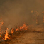 Bordeaux under threat as France and Spain battle 'unprecedented' wildfires