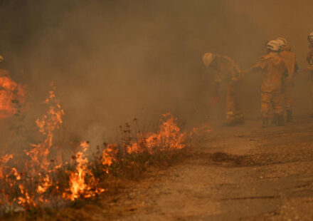 Bordeaux under threat as France and Spain battle 'unprecedented' wildfires