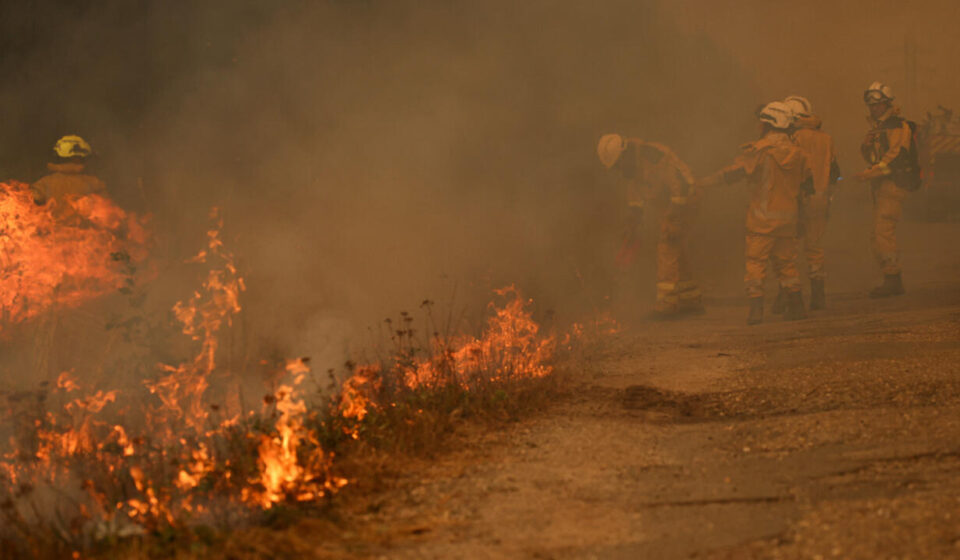 Bordeaux under threat as France and Spain battle 'unprecedented' wildfires