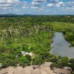 Brazil's Amazon sees sharp decline of area burned in 2025