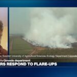 Building a 'different kind of forest' after devastating wildfires