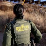 CBP seizes $10.7M cocaine hidden in cabbage at Pharr port of entry