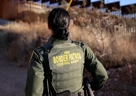 CBP seizes $10.7M cocaine hidden in cabbage at Pharr port of entry