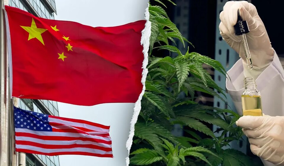 Chad Wolf urges Congress to probe China's role in THC hemp market