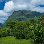 Ciencia: Los ecosistemas de la mayoría de las islas del mundo estarán bajo amenaza para 2050