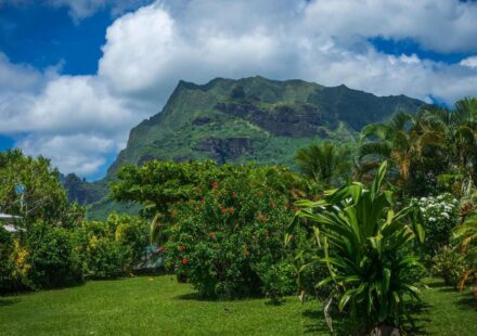 Ciencia: Los ecosistemas de la mayoría de las islas del mundo estarán bajo amenaza para 2050