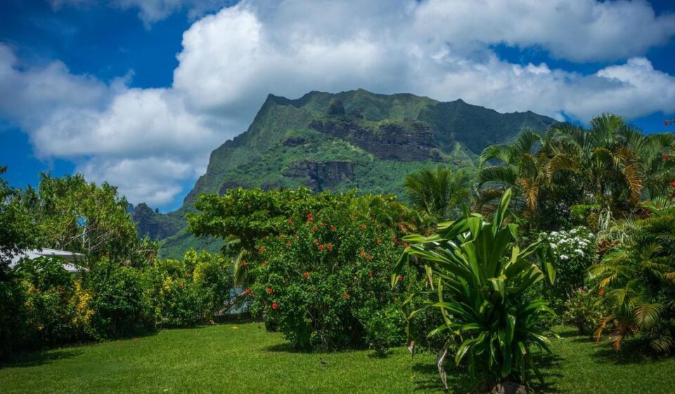 Ciencia: Los ecosistemas de la mayoría de las islas del mundo estarán bajo amenaza para 2050