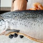 Ciencia: ¿Qué pescados son más sanos para comer?