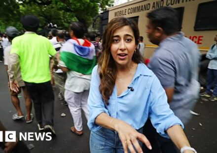Cockroach Janta Party (CJP): How India's 'cockroach' protest movement has grown