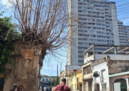 Crónicas de La habana: Los locos del apagón