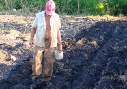 Cuba: Los guajiros intentan vender tierras a precio de remate por la crisis