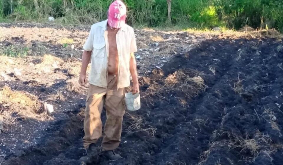 Cuba: Los guajiros intentan vender tierras a precio de remate por la crisis