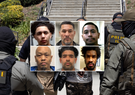 DHS credits deportations of criminal immigrants for falling crime rates