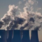 EU proposes slowing down cuts to carbon emissions for businesses