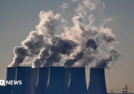 EU proposes slowing down cuts to carbon emissions for businesses