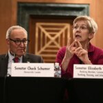Elizabeth Warren backs El-Sayed in split from Schumer in Michigan Senate race
