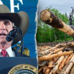 Endangered Species Act harm rule rescinded, officials say overreach
