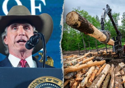 Endangered Species Act harm rule rescinded, officials say overreach