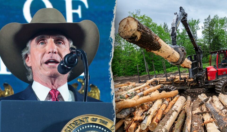 Endangered Species Act harm rule rescinded, officials say overreach