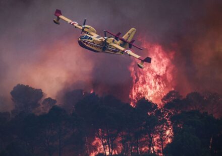 Europe wildfire in pictures: fire cloud ravaging France, Spain regions