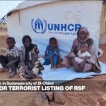 European Parliament calls for terrorist listing of Rapid Support Forces in Sudan - Eye on Africa