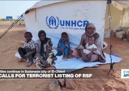 European Parliament calls for terrorist listing of Rapid Support Forces in Sudan - Eye on Africa