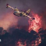 European wildfires in maps - and how they're being tackled