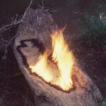 Exposición ‘Ana Mendieta’ en Londres