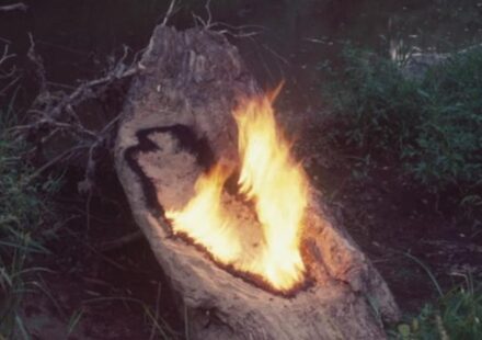 Exposición ‘Ana Mendieta’ en Londres