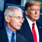 Fauci pandemic diaries reveal Trump, Julia Roberts and Hunter Biden