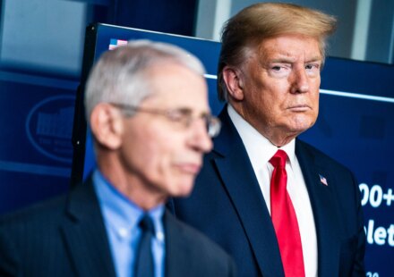 Fauci pandemic diaries reveal Trump, Julia Roberts and Hunter Biden