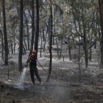 Fire reignites in Fontainebleau forest as investigation continues