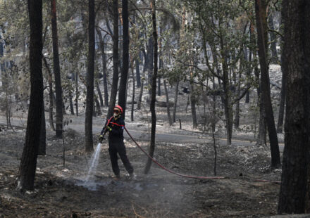 Fire reignites in Fontainebleau forest as investigation continues