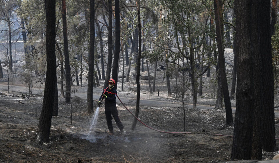 Fire reignites in Fontainebleau forest as investigation continues