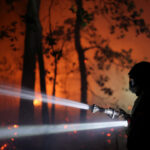 Firefighters battle flames in Fontainebleau historic forest