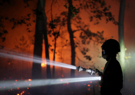 Firefighters battle flames in Fontainebleau historic forest