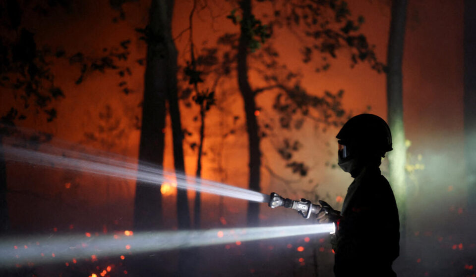 Firefighters battle flames in Fontainebleau historic forest