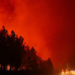 Fires in France: 42,000 hectares burnt, 220,000 people evacuated