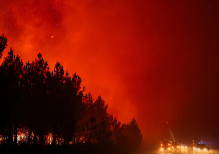 Fires in France: 42,000 hectares burnt, 220,000 people evacuated