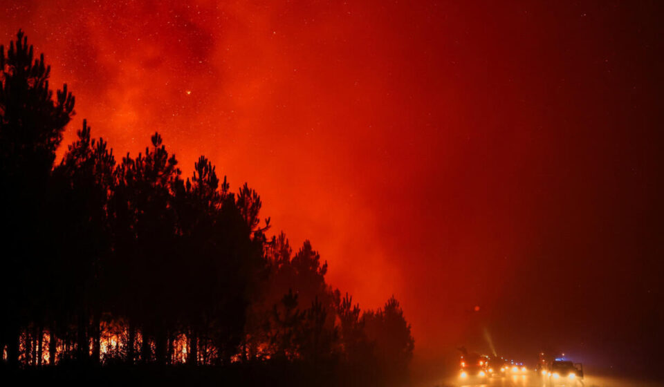 Fires in France: 42,000 hectares burnt, 220,000 people evacuated