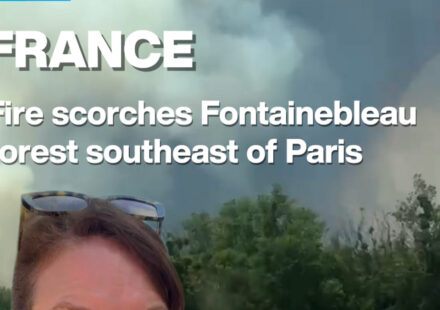 France: Fire scorches Fontainebleau forest southeast of Paris