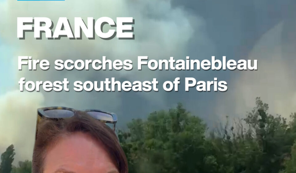 France: Fire scorches Fontainebleau forest southeast of Paris
