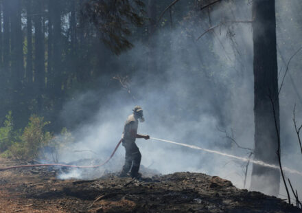 France, Spain eye respite from wildfires as other blazes break out in Europe